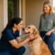 Trust and Reliability in Pet Sitting