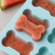 Frozen Watermelon & Mint Pupsicles